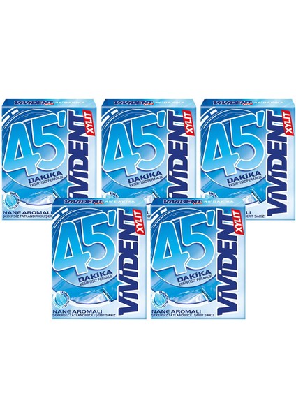 45 Dakika Sakız Nane Aromalı 33 G - 5 Adet
