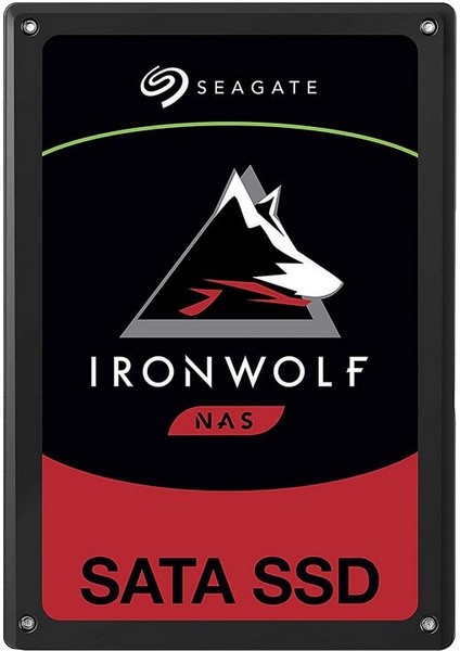 İronwolf 110 480GB SATA3 SSD