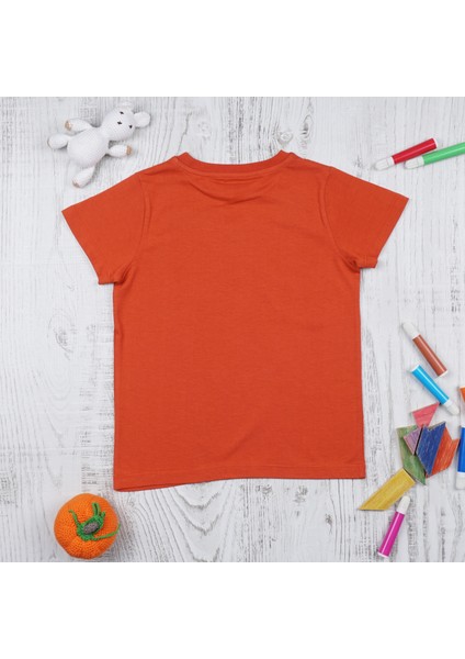 Organik Erkek Çocuk Kısa Kollu T-Shirt - Kiremit modelleri