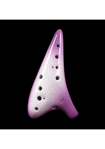 Buz Çatlak Ocarina 12 Tonlar Alto C Taşıma Çantası İle Şarkı Kitap Boyun Kordon Acemi Müzik Severler Hediyeler | Ocarina (Mor) (Yurt Dışından)