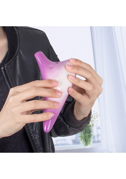 Buz Çatlak Ocarina 12 Tonlar Alto C Taşıma Çantası İle Şarkı Kitap Boyun Kordon Acemi Müzik Severler Hediyeler | Ocarina (Mor) (Yurt Dışından) modelleri