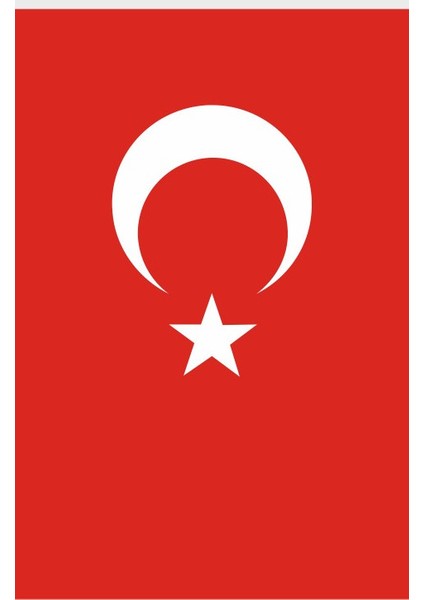 Türk Bayrağı 200 x 300 cm Raşel Kumaş