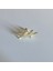 925 Ayar Gümüş Gold Kedi Piercing/küpe, Bar Uzunluğu 6mm 2
