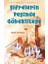 Şifrelerin Peşinde Göbeklitepe 1