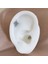 Cerrahi Çelik Zirkon Taş Bezeli Kutup Yıldızı Piercing - Bar Uzunluğu 6 Mm- 1 Adet 4