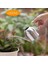 1l Sulama Olabilir Uzun Musluk Bonsai Succulents Sulama Pot Kavanoz Bahçe Aracı Gümüş (Yurt Dışından) 3