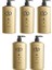 Daily Perfection Tuzsuz Şampuan Çam Terebentin 5x500 Ml 1