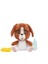 MTM11100 Emotion Pets - Evcil Hayvanlar, +3 Yaş 2
