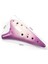 Buz Çatlak Ocarina 12 Tonlar Alto C Taşıma Çantası İle Şarkı Kitap Boyun Kordon Acemi Müzik Severler Hediyeler | Ocarina (Mor) (Yurt Dışından) 2