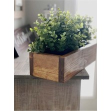 Bupa Home Ahşap Saksı Sukulent Kaktüs Saksısı