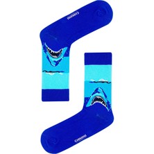 Carnaval Socks Köpek Balığı Desenli Renkli Çorap