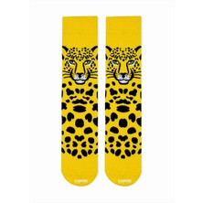 Carnaval Socks Leopar Desenli Renkli Çorap