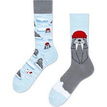 Carnaval Socks Sağlı Sollu Fok Balığı Desenli Renkli Çorap