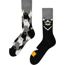 Carnaval Socks Sağlı Sollu Kediler Desenli Renkli Çorap