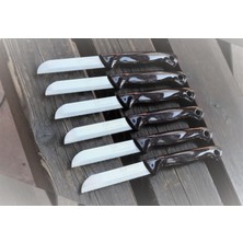 Solingen Meyve Sebze Bıçağı 6 Adet Simli Desen Sapı Delikli  (1.kalite,tırtıklı)
