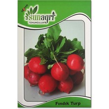 Sunagri Fındık Turp Tohumu