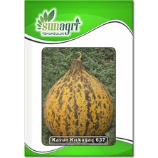 Sunagri Kırkağaç 637 (Altınbaş) Kavun Tohumu