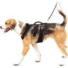 Easy Sport™  Harness - Large Siyah Köpek Tasması