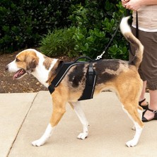 Easy Sport™  Harness - Large Siyah Köpek Tasması