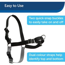 Easy Walk™ Harness - Small Siyah  Köpek Tasması