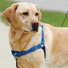 Deluxe Easy Walk™ Harness Mavi Köpek Göğüs Tasması - Large ( 66 - 91 cm)