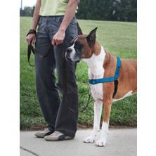 Deluxe Easy Walk™ Harness Mavi Köpek Göğüs Tasması - Large ( 66 - 91 cm)