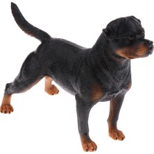 Perfeclan Gerçekçi Hayvan Modeli Şekil Heykelcik Bilimi Doğa Oyuncakları Rottweiler B (Yurt Dışından)