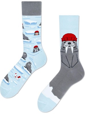 Carnaval Socks Sağlı Sollu Fok Balığı Desenli Renkli Çorap