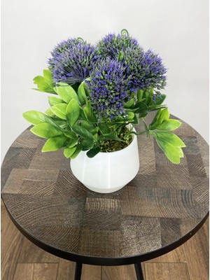 Indoor Dekor Yapay Çiçek Beton Saksıda Sukulent Ekinezya Çiçeği