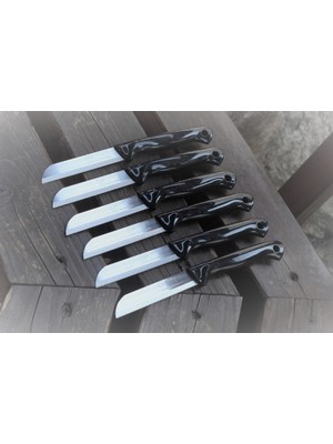  Solingen Meyve Sebze Bıçağı 6 Adet Simli Desen Sapı Delikli  (1.kalite,tırtıklı)