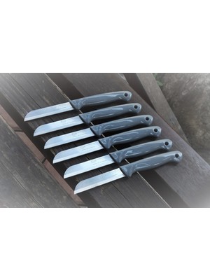  Solingen Meyve Sebze Bıçağı 6 Adet Simli Desen Sapı Delikli  (1.kalite,tırtıklı)
