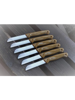  Solingen Meyve Sebze Bıçağı 6 Adet Simli Desen Sapı Delikli  (1.kalite,tırtıklı)