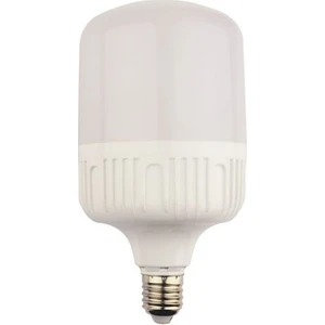 20 W Torch Ampül Beyaz