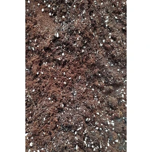 Egzotik Bahçe Torf Toprağı Perlit Katkılı3 Litre
