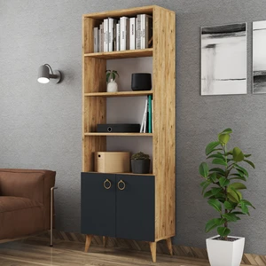 Çocuk Odası Salon Ofis Çalışma Dosya Çok Amaçlı Kapaklı Kitaplık