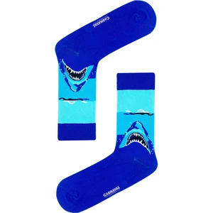 Carnaval Socks Köpek Balığı Desenli Renkli Çorap