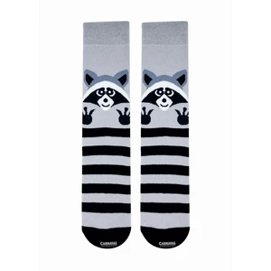 Carnaval Socks Rakun Desenli Renkli Çorap