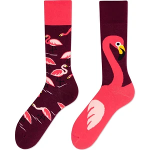 Carnaval Socks Sağlı Sollu Flamingo Desenli Renkli Çorap
