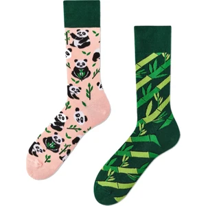Carnaval Socks Sağlı Sollu Panda Desenli Renkli Çorap