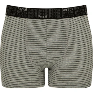 Gri Çizgili Boxer (4475)