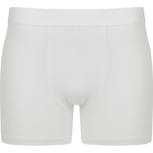 Erkek Beyaz Boxer (4476)