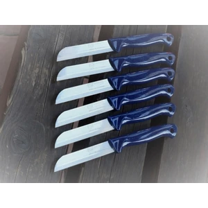 Solingen Meyve Sebze Bıçağı 6 Adet Simli Desen Sapı Delikli  (1.kalite,tırtıklı)