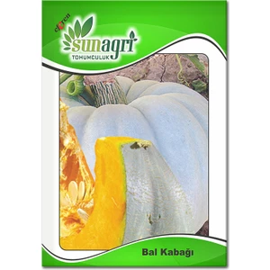 Bal Kabağı Tohumu