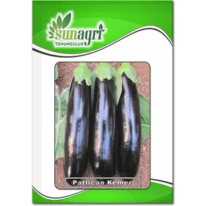 Kemer Patlıcan Tohumu