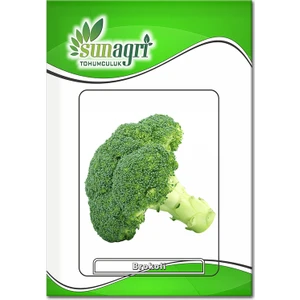 Brokoli Tohumu