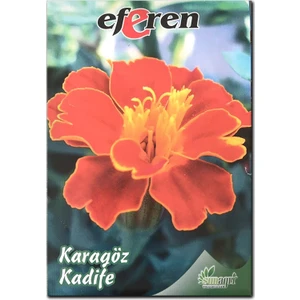 Karagöz Kadife Tohumu