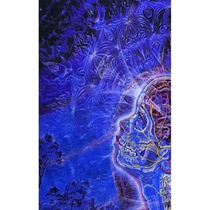 Dünyadan Hediyeler Iskelet Temalı Boyunluk Bandana Mavi NO:152