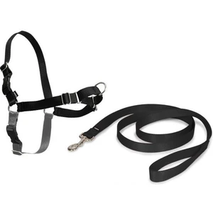 Easy Walk™ Harness - Small Siyah  Köpek Tasması