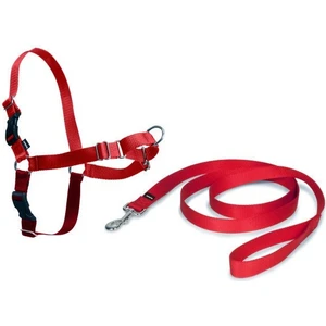 Easy Walk Harness Kırmızı Köpek Göğüs Tasması Medium (51-71 cm)