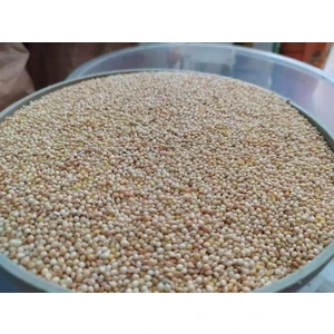 Tozsuz Kaliteli Çuval Ak Darı 25 kg